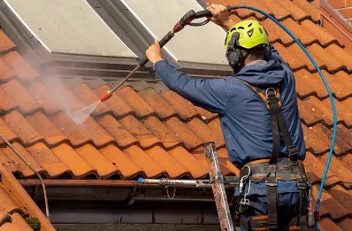 Démoussage et hydrofuge de toiture à Geffosses